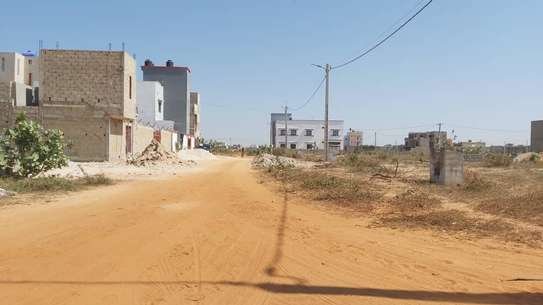 Promotion immobilière